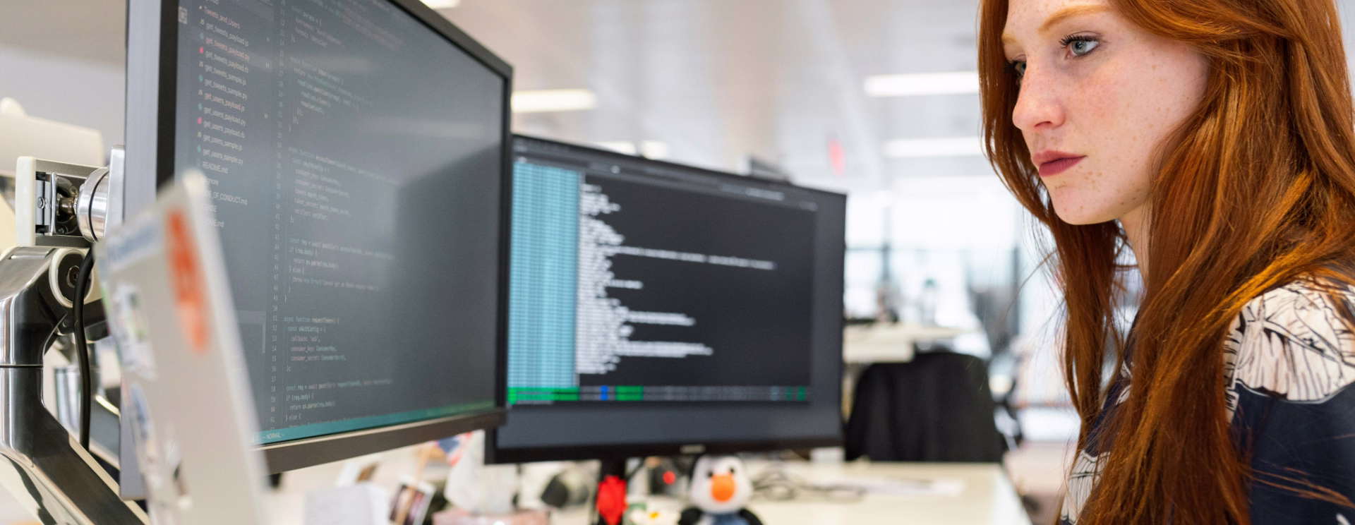 Professional web development services in UAE